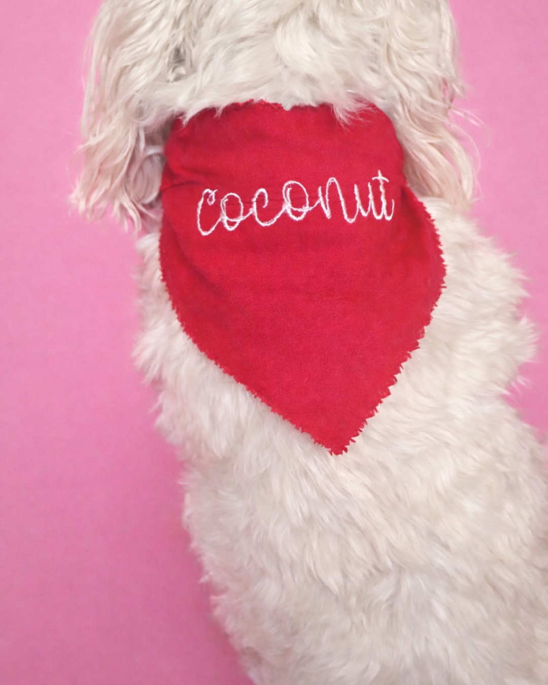 Cursive Red Dog Bandana